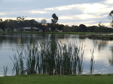 Luke Park And Jerilderie Lake - Accommodation Port Macquarie 2
