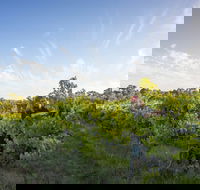 Mclaren Vale - Accommodation Port Macquarie