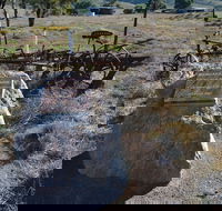 Wangaraleednie Monument  Ruins - Accommodation Port Macquarie