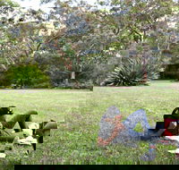 Waterfall Flat Picnic Area - Accommodation Port Macquarie