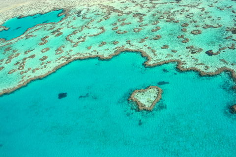 Whitsunday Region - Accommodation Port Macquarie 0