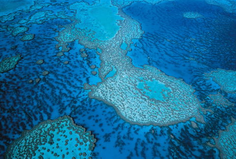 Whitsunday Region - Accommodation Port Macquarie 2