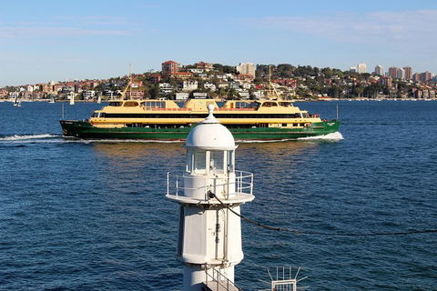 Half Day Manly Beach And More - Accommodation Port Macquarie 7