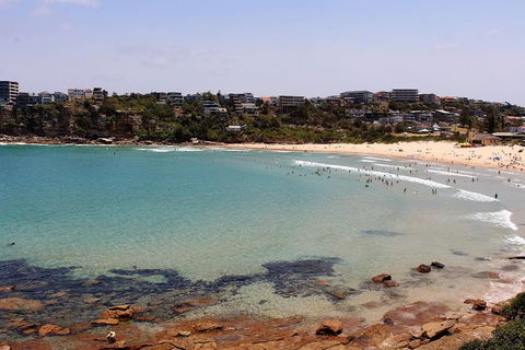 Half Day Manly Beach And More - Accommodation Port Macquarie 11