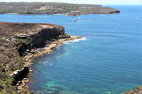 Half Day Manly Beach And More - Accommodation Port Macquarie 9
