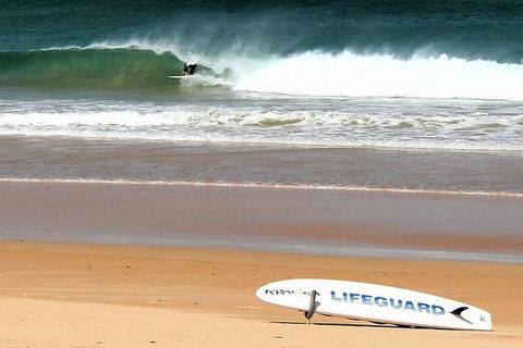 Half Day Manly Beach And More - Accommodation Port Macquarie 5