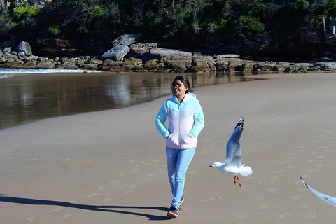 Half Day Manly Beach And More - Accommodation Port Macquarie 6