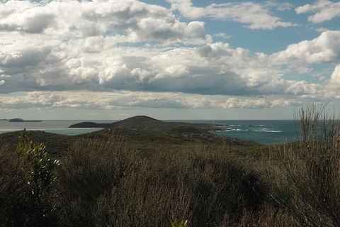 Big Rocky! Full Day Guided Walk - Accommodation Port Macquarie 3