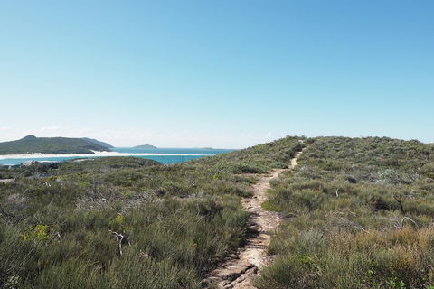 Big Rocky! Full Day Guided Walk - Accommodation Port Macquarie 5
