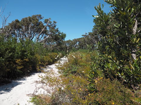 Big Rocky! Full Day Guided Walk - Accommodation Port Macquarie 8