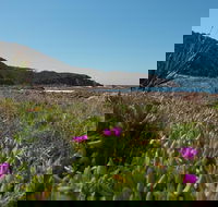 Big Rocky Full Day Guided Walk - Accommodation Port Macquarie