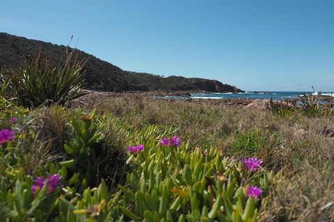 Big Rocky! Full Day Guided Walk - Accommodation Port Macquarie 0