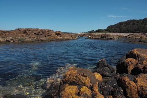Big Rocky! Full Day Guided Walk - Accommodation Port Macquarie 2