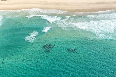 Coastal Helicopter Shared Flight - 20 Minutes - Accommodation Port Macquarie 5