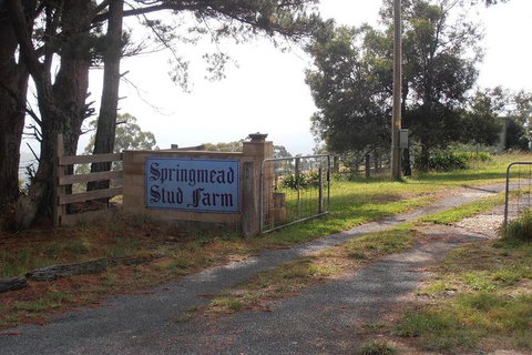 Interactive Farm Tours On A Beef, Lamb And Duck Farm - Accommodation Port Macquarie 0