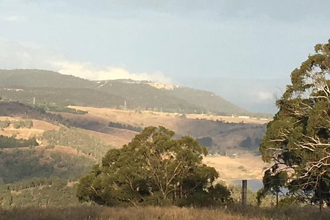 Interactive Farm Tours On A Beef, Lamb And Duck Farm - Accommodation Port Macquarie 1