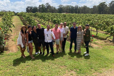 Hunter Valley Exclusive Kangaroo And Wine Tasting Experience - Accommodation Port Macquarie 6