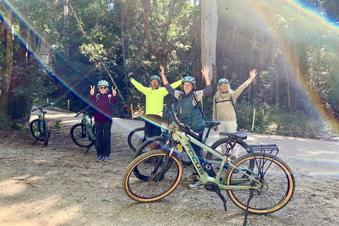 Guided E Bike Tour - Unicorn Falls & National Park - Accommodation Port Macquarie 3