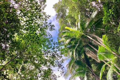 Guided E Bike Tour - Unicorn Falls & National Park - Accommodation Port Macquarie 5