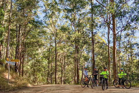 Guided E Bike Tour - Unicorn Falls & National Park - Accommodation Port Macquarie 10