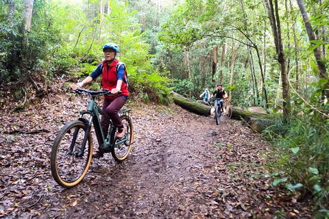Guided E Bike Tour - Unicorn Falls & National Park - Accommodation Port Macquarie 9