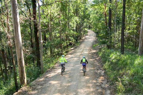 Guided E Bike Tour - Unicorn Falls & National Park - Accommodation Port Macquarie 7