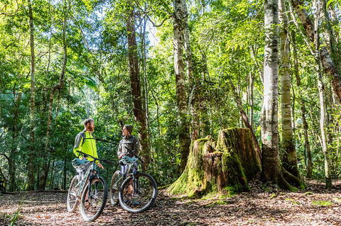Guided E Bike Tour - Unicorn Falls & National Park - Accommodation Port Macquarie 14