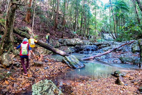 Guided E Bike Tour - Unicorn Falls & National Park - Accommodation Port Macquarie 17