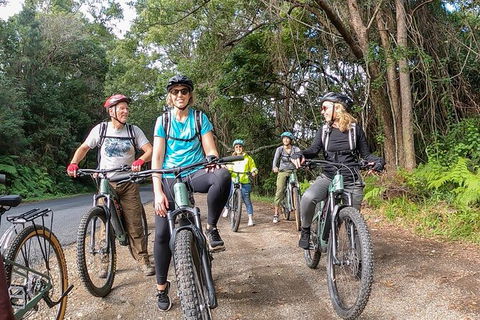 Guided E Bike Tour - Unicorn Falls & National Park - Accommodation Port Macquarie 11
