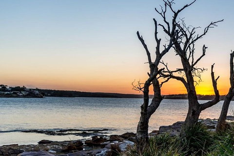 Full-Day Kiama Coast And The Royal National Park Guided Tour - Accommodation Port Macquarie 0