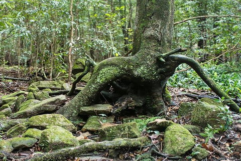 Full-Day Kiama Coast And The Royal National Park Guided Tour - Accommodation Port Macquarie 1