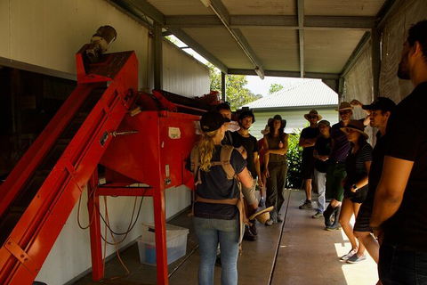 Pecan Farm Tour And Workshop, Byron Bay Hinterland - Accommodation Port Macquarie 4