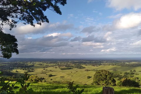 Pecan Farm Tour And Workshop, Byron Bay Hinterland - Accommodation Port Macquarie 1