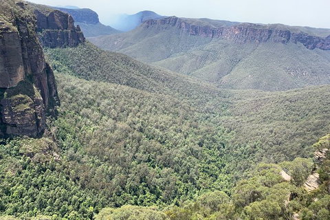 Blue Mountains Private Bus Tour From Sydney, Plus Featherdale Aussie Animal Park - Accommodation Port Macquarie 3