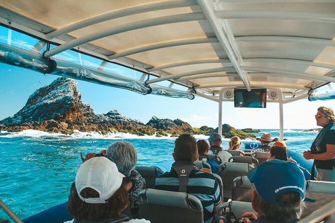 Julian Rocks Byron Bay Cruise - Accommodation Port Macquarie 13