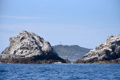 Julian Rocks Byron Bay Cruise - Accommodation Port Macquarie 14
