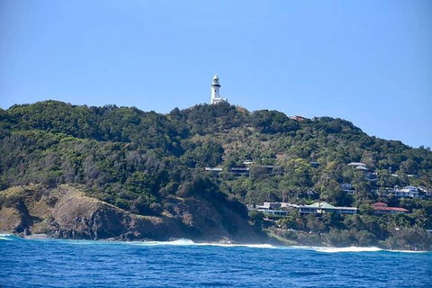 Julian Rocks Byron Bay Cruise - Accommodation Port Macquarie 7