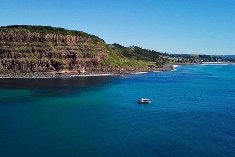 Julian Rocks Byron Bay Cruise - Accommodation Port Macquarie 6