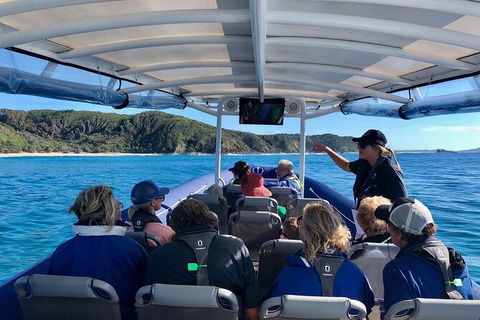 Julian Rocks Byron Bay Cruise - Accommodation Port Macquarie 11