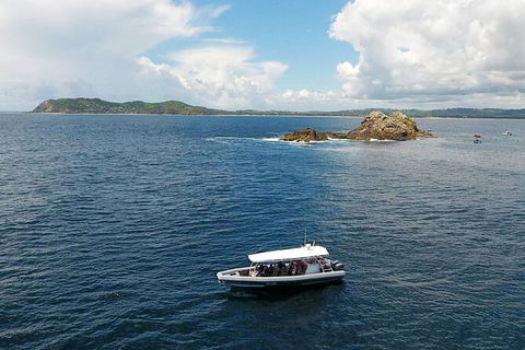 Julian Rocks Byron Bay Cruise - Accommodation Port Macquarie 0
