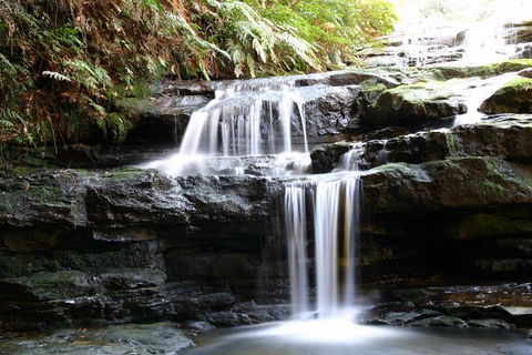 Private 10-hour Tour To Blue Mountains From Sydney - Hotel Pick Up & Drop Off - Accommodation Port Macquarie 6