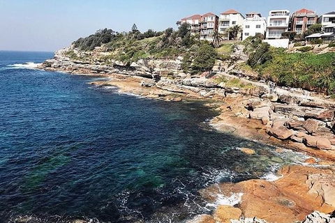 Sydney With Bondi And Beaches Essentials Private Day Tour - Accommodation Port Macquarie 1