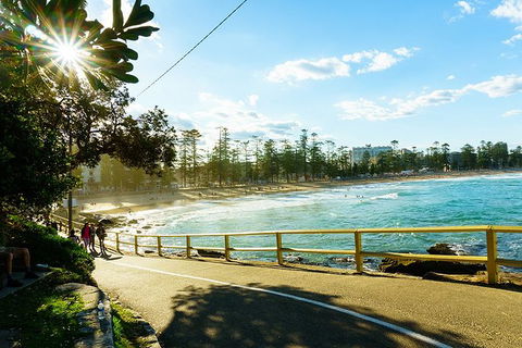 Sydney With Bondi And Beaches Essentials Private Day Tour - Accommodation Port Macquarie 8
