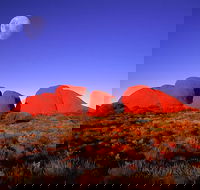Kata Tjuta Afternoon Walpa Gorge Tour - Accommodation Port Macquarie