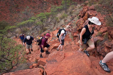 Uluru, Kata Tjuta And Kings Canyon Camping Safari From Alice Springs - Accommodation Port Macquarie 3