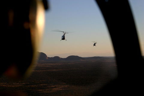Helicopter Scenic: Lizard Safari - Accommodation Port Macquarie 1