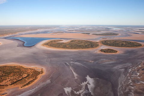 Helicopter Scenic: Lizard Safari - Accommodation Port Macquarie 0