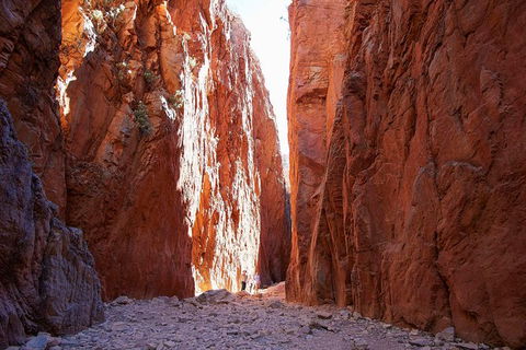 Best Of Alice Springs Full Day Tour - Accommodation Port Macquarie 6