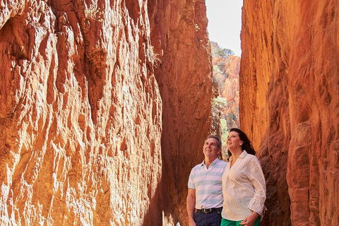 Best Of Alice Springs Full Day Tour - Accommodation Port Macquarie 4