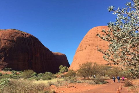 5-Hour Kata Tjuta Sunrise Tour From Ayers Rock With Breakfast - Accommodation Port Macquarie 2